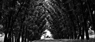 Create DynamoDB Table Locally