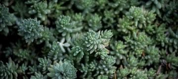 How to Collect Memory Disk Usage By Using CloudWatch Agent