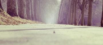 How to Delete Data from MongoDB with Node.js and Mongoose