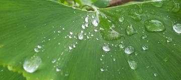 How to Setup a HTTPS Node JS Server on Amazon EC2