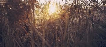 How to Sync S3 Bucket to Different AWS Account