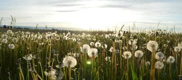 How to Use C# Enum Flag