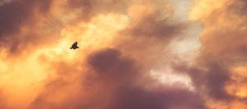 How to Redirect HTTP to HTTPS on Amazon Linux with Node.js