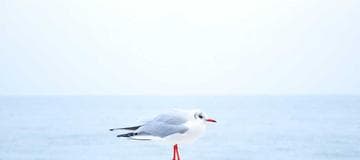 List of AWS CloudTrail Record Fields