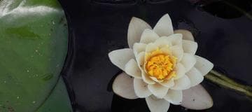 Upload to AWS S3 By Using Node.js