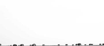 How to use BigQuery to Extract JSON Array