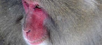 Tips About How to Deploy ASP.NET Web Application