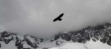 Encrypt and Decrypt Web.config ConnectionString Using aspnet_regiis