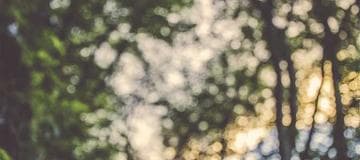 GA4 Big Query Sample Query