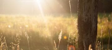 Fix 404 Issues to Load Bootstrap Icons on IIS