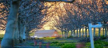 Getting Started with PhoneGap to Build Mobile Apps