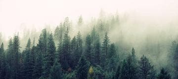 How to Create AWS Organization for Consolidated Billing