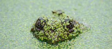 How to Install Sitecore 9