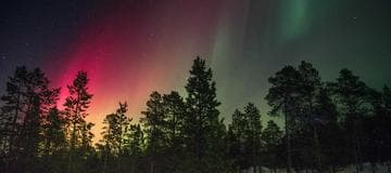 How to Setup Google Analytics 4 with Google Tag Manager