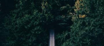 Install Sitecore via SIM (Sitecore Instance Manager)