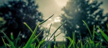 How to Get Started With Orchard to Create a Module