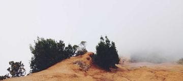 Override Connection String at NLog Config Setting