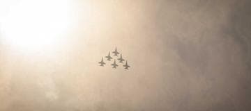 ASP.NET Route All URLs to a Single Action