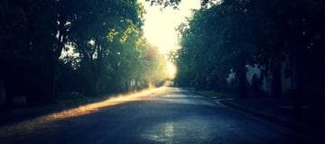 Code Snippet - Return JSON Response for Express.js