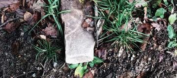 How to Setup MongoDB on Windows Service