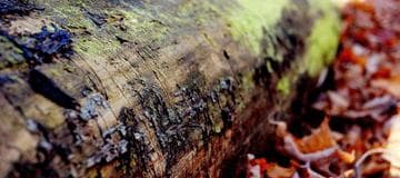 How to Update Host File at MacOS