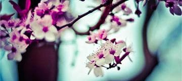 Use AWS Elastic IP Address