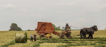 Web Caching - Sample Code in ASP.NET MVC