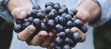 Troubleshooting - Windows Server Task Scheduler Didn't Run Properly