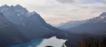 Few Xamarin Better Practice Tips