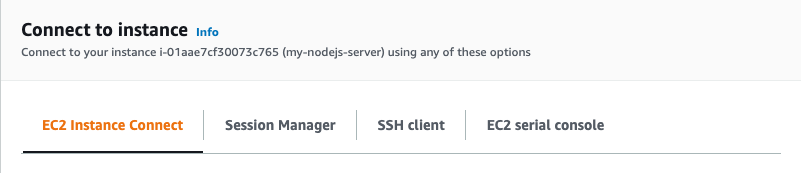 Choice to SSH into the EC2